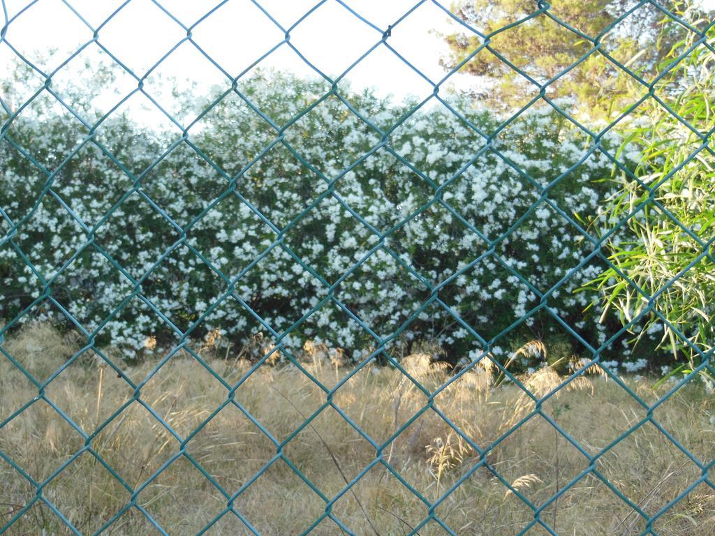 Jardins Da Balaia 호텔 알부페이라 외부 사진